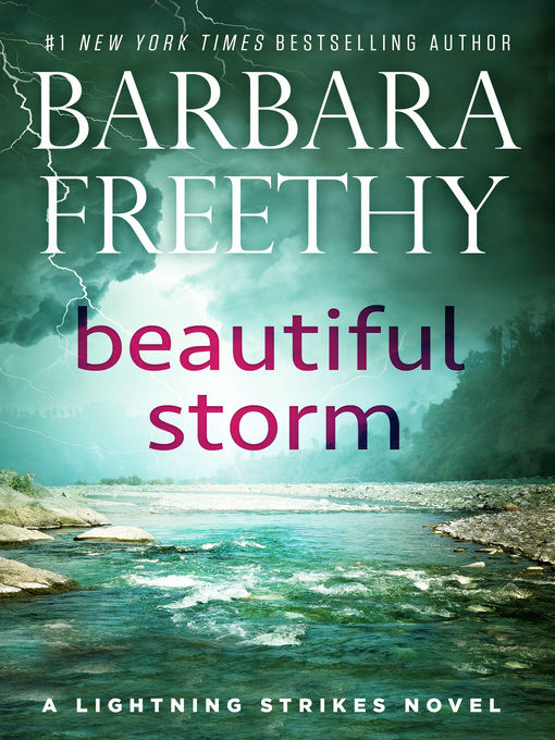 Title details for Beautiful Storm by Barbara Freethy - Wait list